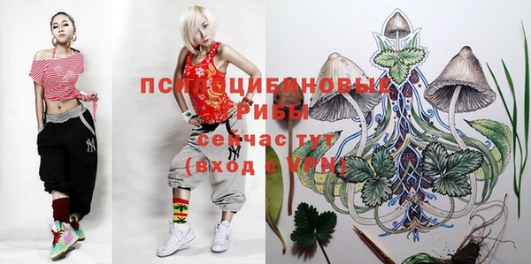 ALPHA PVP Арсеньев