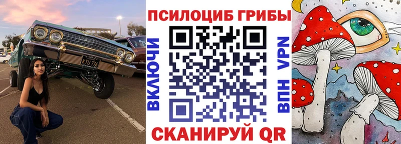 Галлюциногенные грибы Psilocybine cubensis  omg   Искитим 